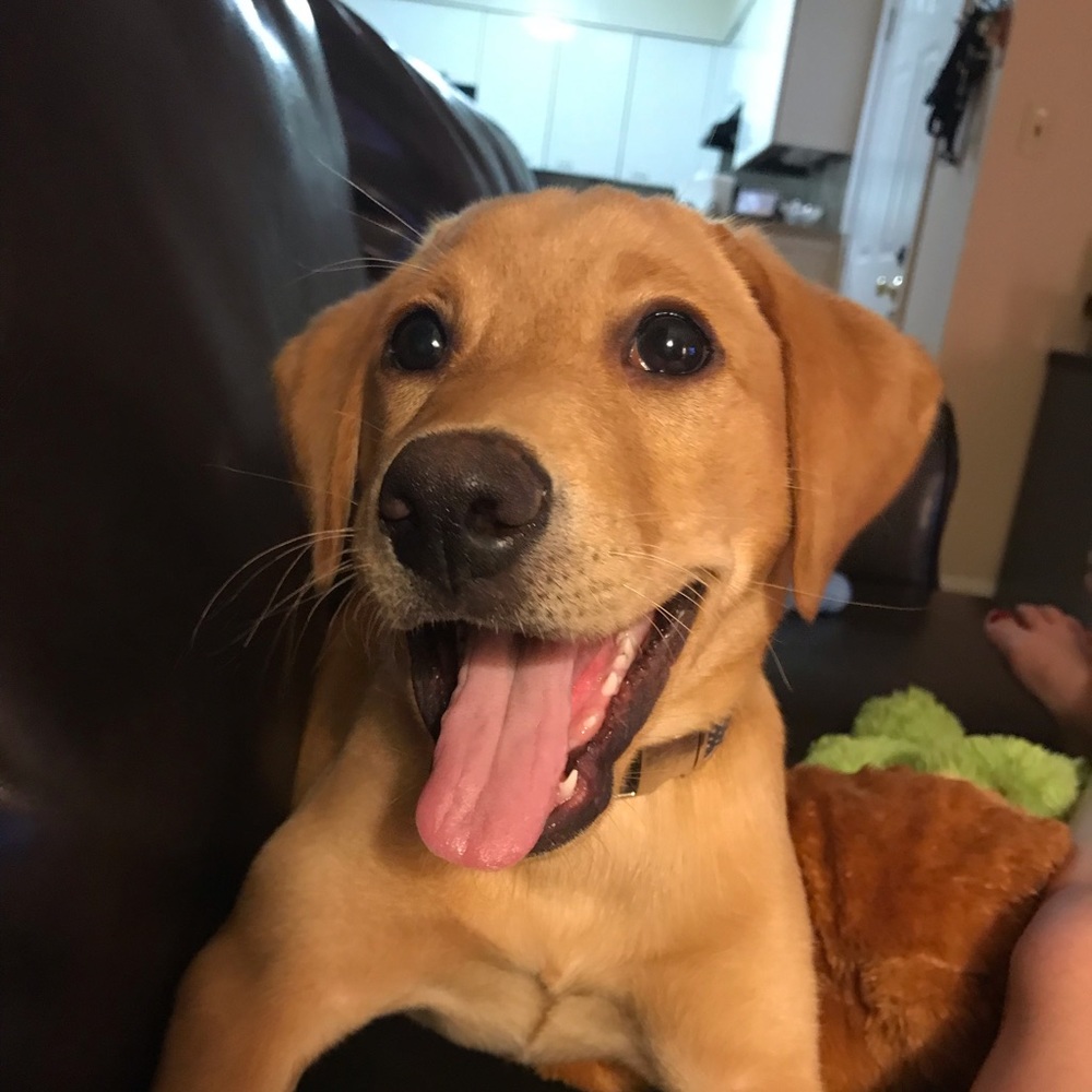 Meet your Posher, Kayla